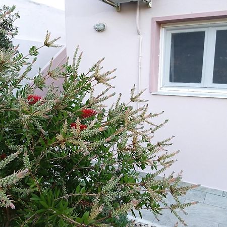 Andros Lighthouse Apartments Mesaria  Eksteriør billede
