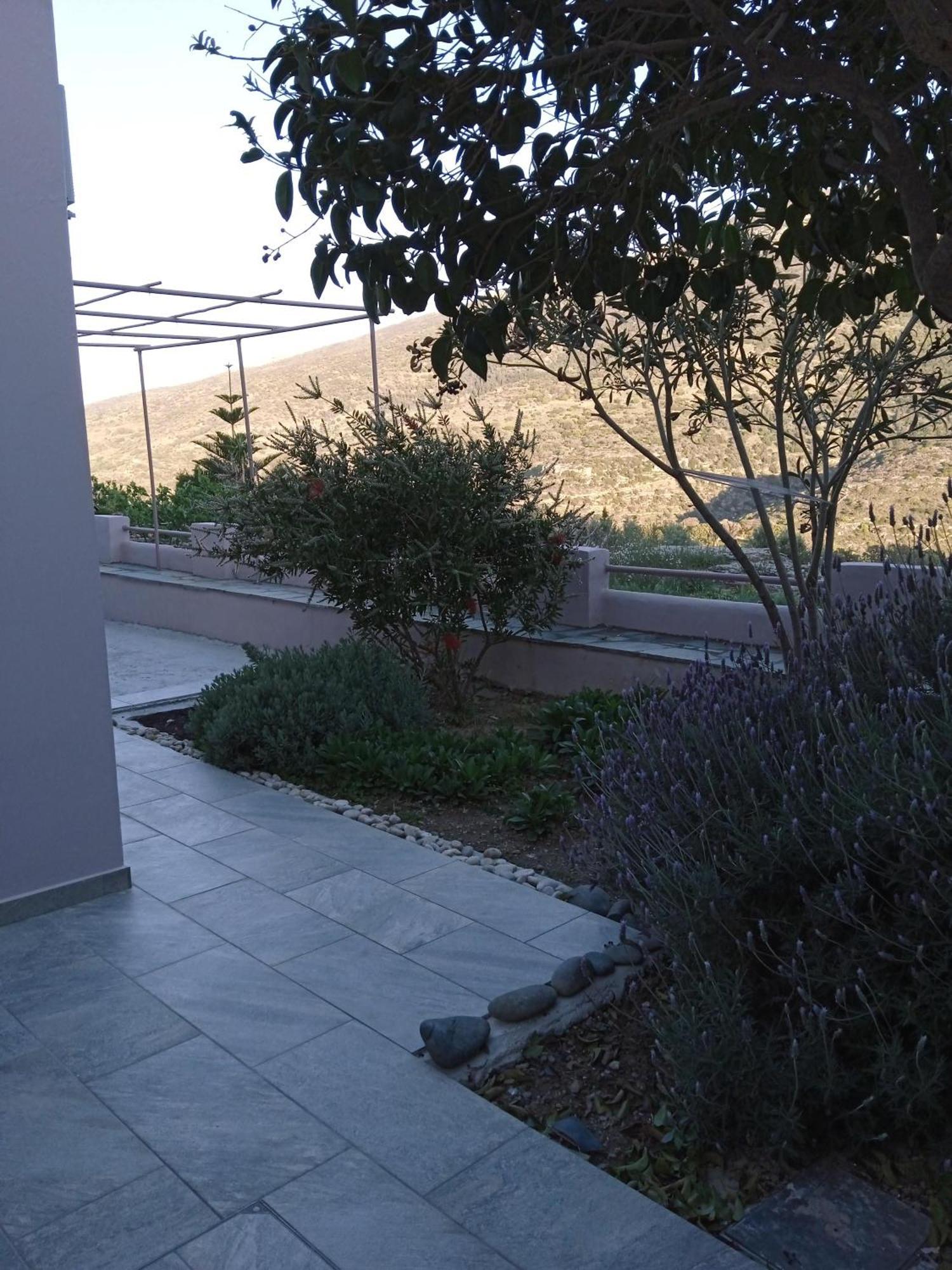 Andros Lighthouse Apartments Mesaria  Eksteriør billede