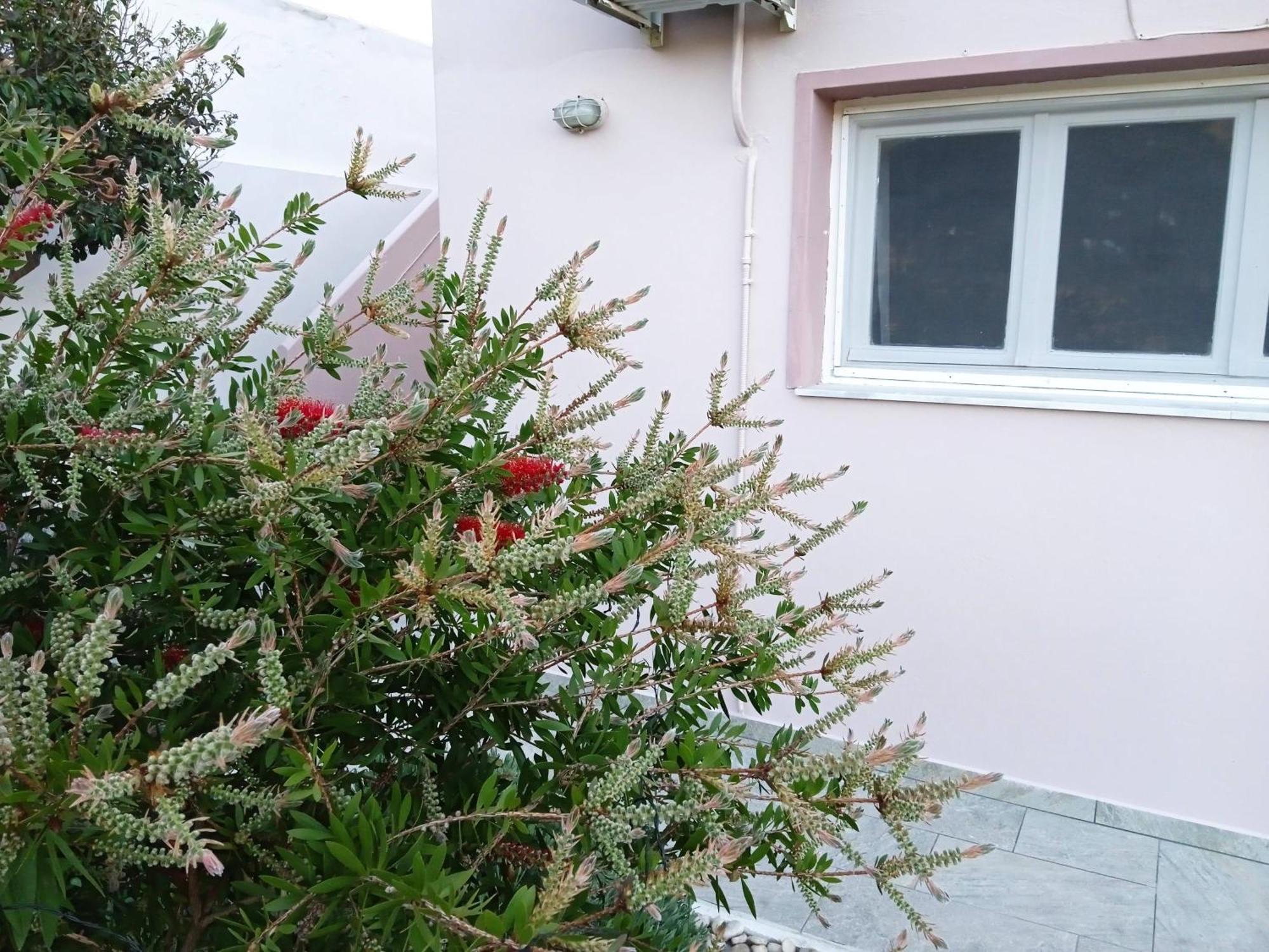 Andros Lighthouse Apartments Mesaria  Eksteriør billede